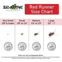 Load image into Gallery viewer, Extra Small Red Runners (1/8" & Under)