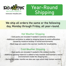 Load image into Gallery viewer, We Offer Year-Round Shipping