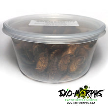 Load image into Gallery viewer, Dried Dubia Roaches - Large (3/4" to 1"+) - Free Shipping
