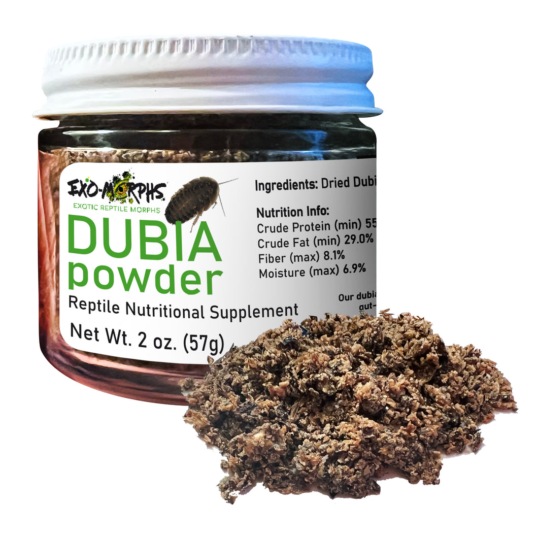 Dried Dubia Protein Powder