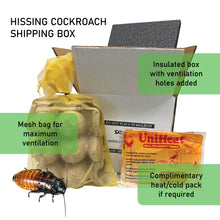 Load image into Gallery viewer, Hissing cockroach shipping box with insulated box, mesh bag, and heat/cold pack on a white background.