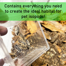 Load image into Gallery viewer, Pet isopods in a transparent container with text about creating an ideal habitat.