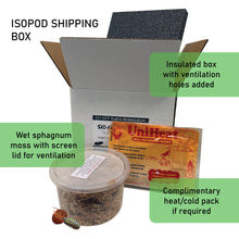 Load image into Gallery viewer, Isopod shipping box with components for ventilation and insulation on a white background