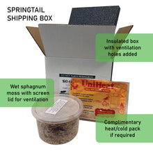 Load image into Gallery viewer, Temperate Springtail Starter Culture