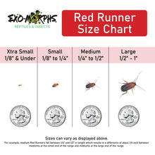 Load image into Gallery viewer, Extra Small Red Runners (1/8" &amp; Under)