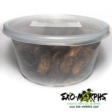Load image into Gallery viewer, Dried Dubia Roaches - Large (3/4&quot; to 1&quot;+) - Free Shipping